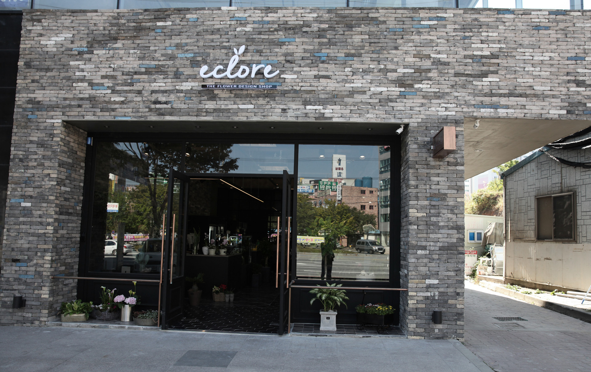 eclore 전체